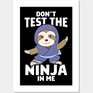 Sloth Ninja Karate Fighter Posters and Art